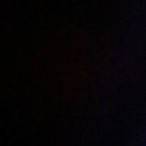 Meet your Posher, Dayanara